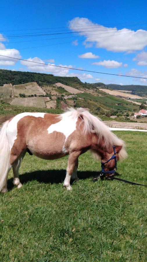 Casinha De Ferias No Campo - Quintinha Dos Cavalos - Arruda Dos Vinhos Sabugos Exteriör bild