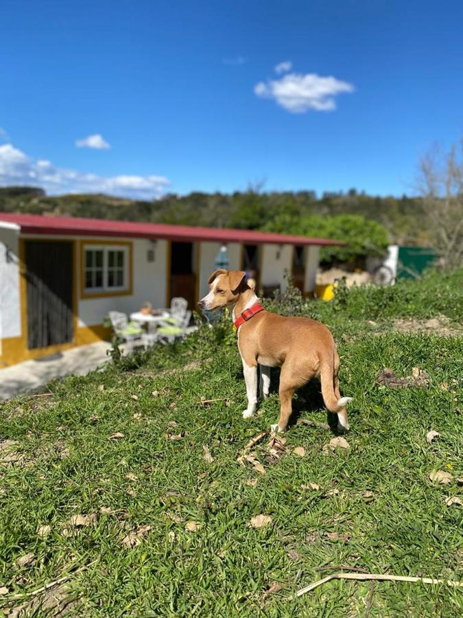 Casinha De Ferias No Campo - Quintinha Dos Cavalos - Arruda Dos Vinhos Sabugos Exteriör bild