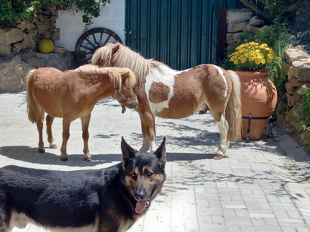 Casinha De Ferias No Campo - Quintinha Dos Cavalos - Arruda Dos Vinhos Sabugos Exteriör bild