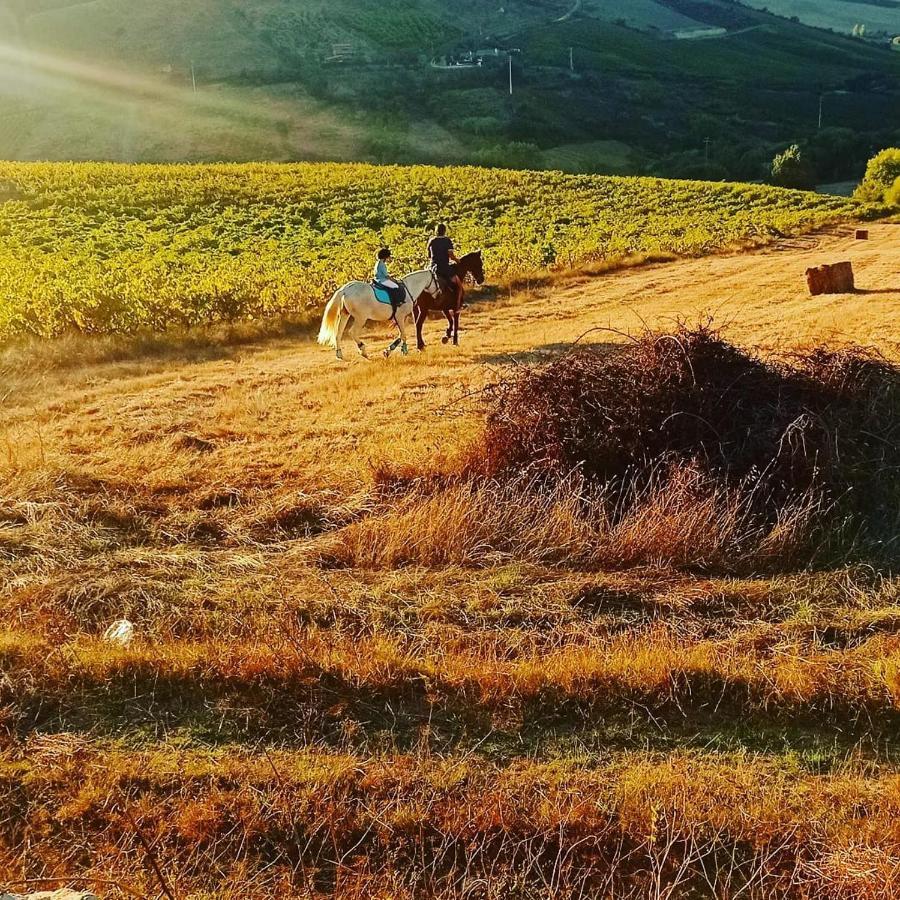 Casinha De Ferias No Campo - Quintinha Dos Cavalos - Arruda Dos Vinhos Sabugos Exteriör bild