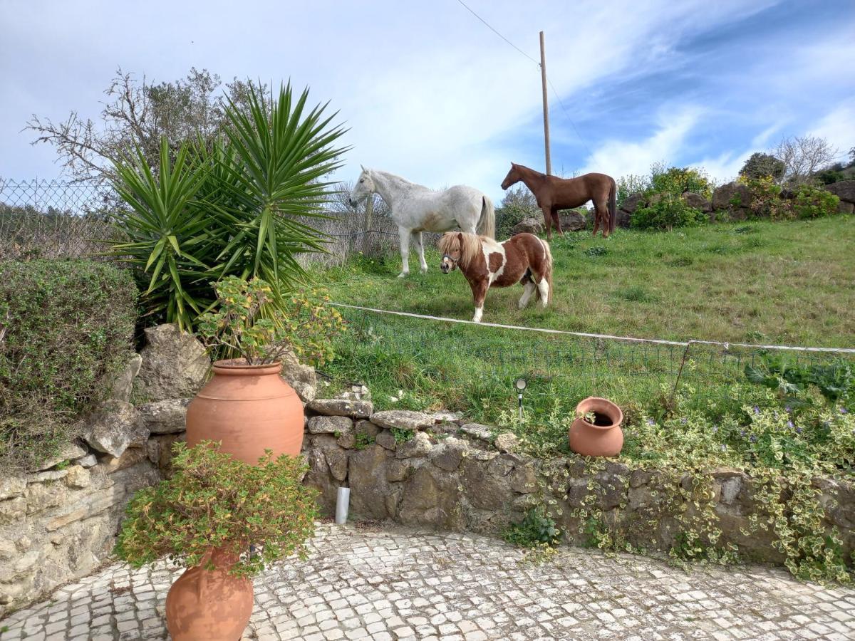 Casinha De Ferias No Campo - Quintinha Dos Cavalos - Arruda Dos Vinhos Sabugos Exteriör bild